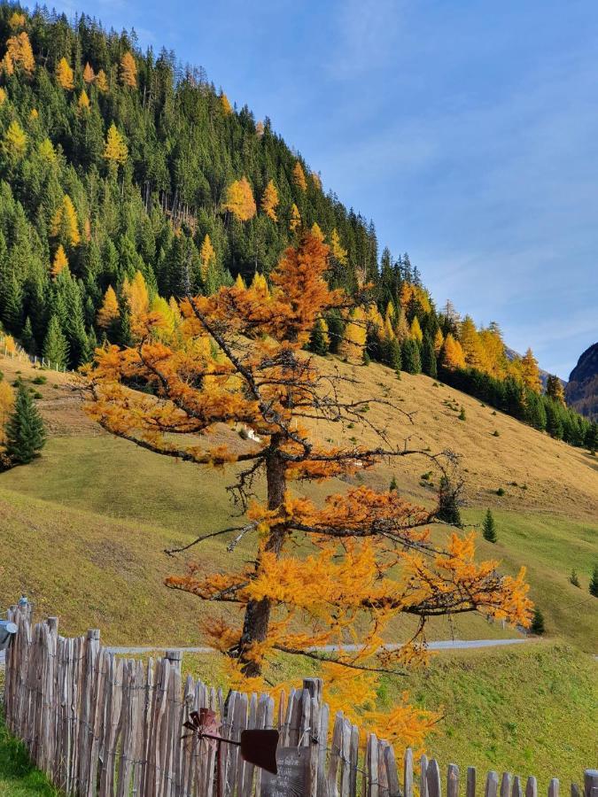 Bichlhof Lägenhet Kaisers Exteriör bild