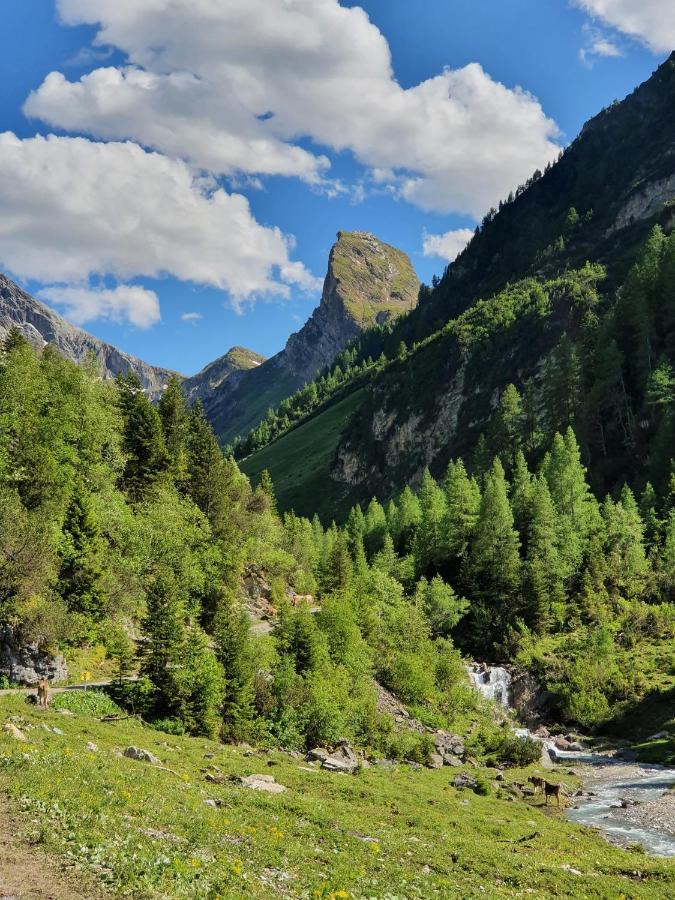 Bichlhof Lägenhet Kaisers Exteriör bild